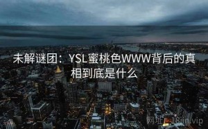 未解谜团：YSL蜜桃色WWW背后的真相到底是什么