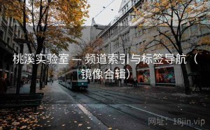 桃溪实验室 — 频道索引与标签导航（镜像合辑）