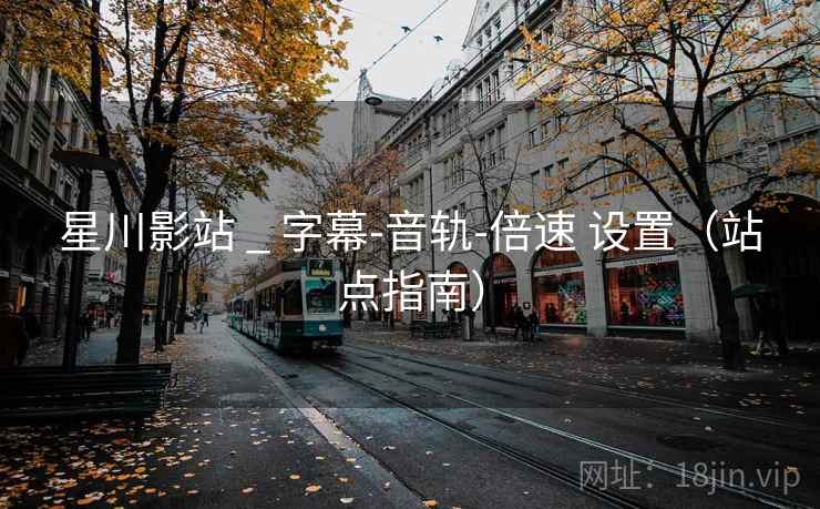 星川影站 _ 字幕-音轨-倍速 设置（站点指南）