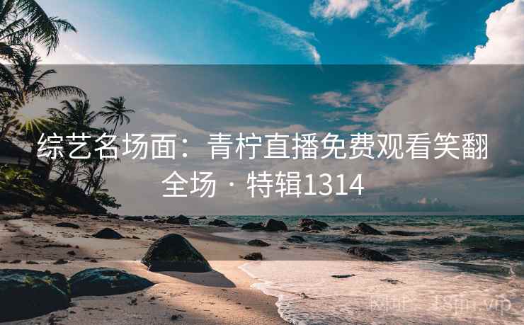 综艺名场面：青柠直播免费观看笑翻全场 · 特辑1314