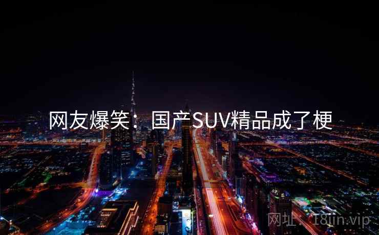 网友爆笑：国产SUV精品成了梗