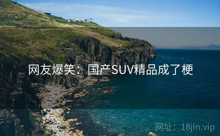 网友爆笑：国产SUV精品成了梗