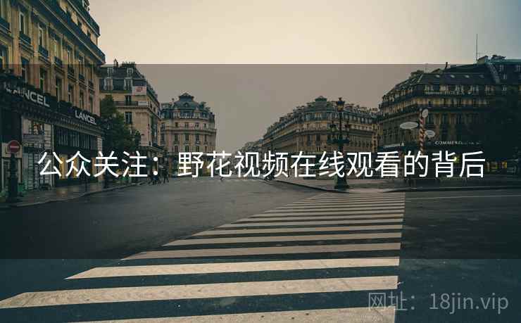 公众关注:野花视频在线观看的背后 公众关注:野花视频在线观看的背后