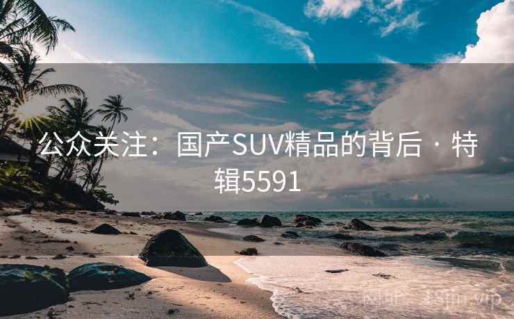 公众关注:国产SUV精品的背后 · 特辑5591 公众关注:国产SUV精品的背后 · 特辑5591